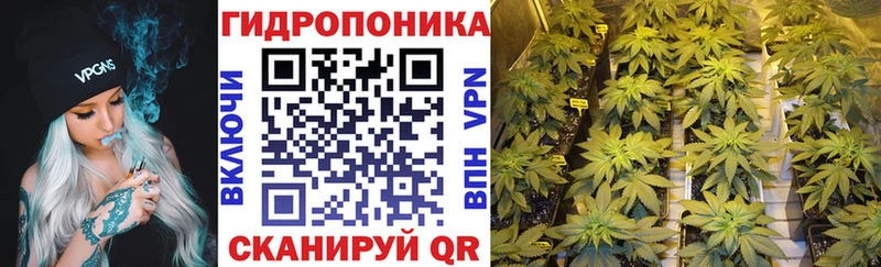 МАРИХУАНА сатива Оленегорск