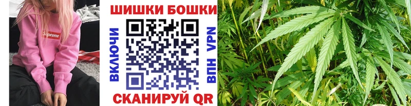 где купить   Оленегорск  Марихуана SATIVA & INDICA 